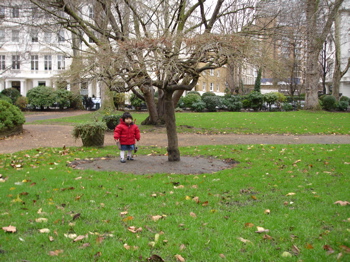 7 jan square.jpg